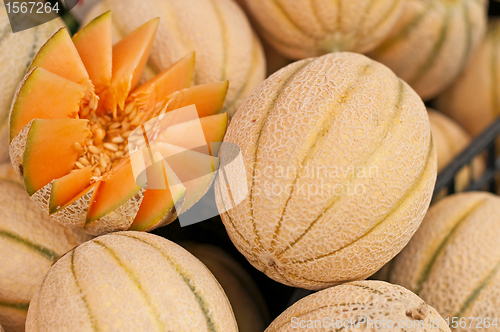 Image of melon 