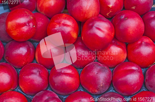 Image of nectarine