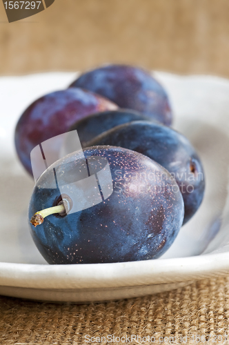 Image of damson