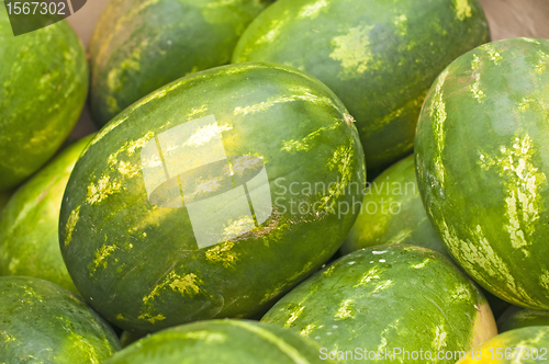 Image of melon