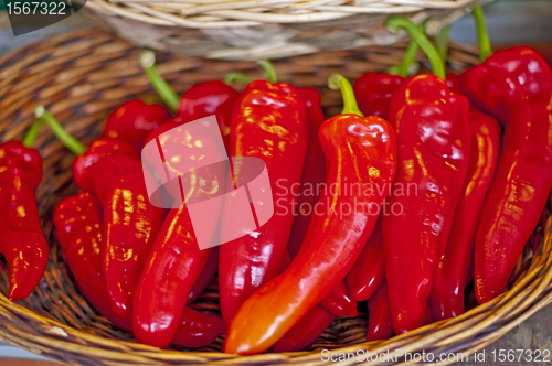 Image of pepper