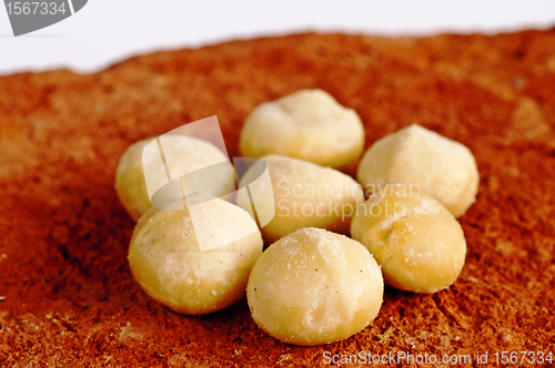 Image of macadamia nuts