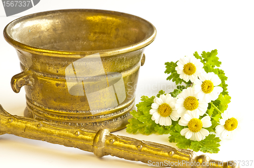 Image of mortar with feverfew