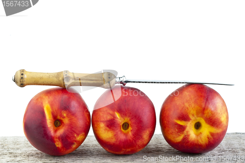 Image of nectarine