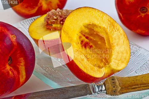 Image of nectarine