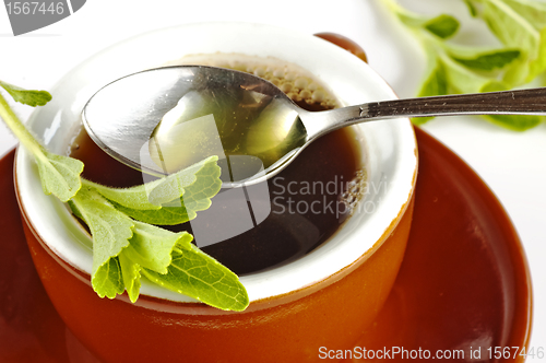 Image of Stevia rebaudiana, support for sugar