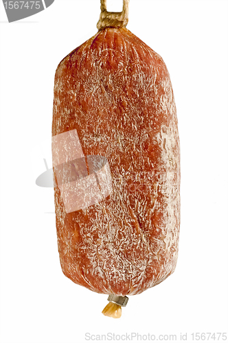 Image of salami of Italy