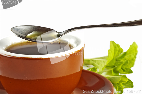 Image of Stevia rebaudiana, support for sugar