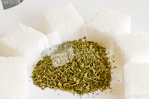 Image of Stevia rebaudiana, support for sugar