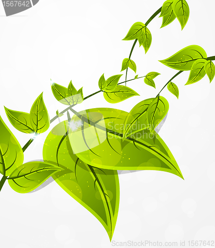 Image of Background with leaves