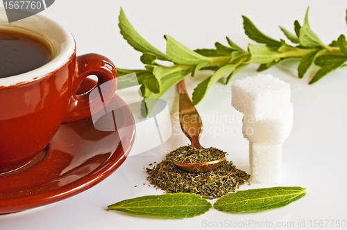 Image of Stevia rebaudiana, support for sugar