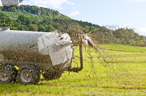 Image of dung