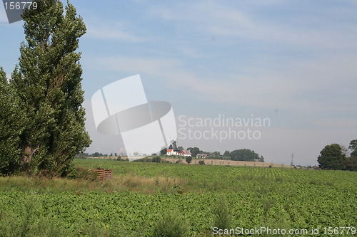 Image of Landscape view with windmill