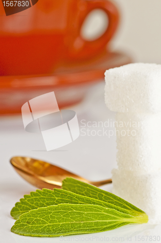 Image of Stevia rebaudiana, support for sugar
