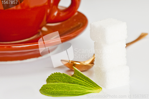 Image of Stevia rebaudiana, support for sugar