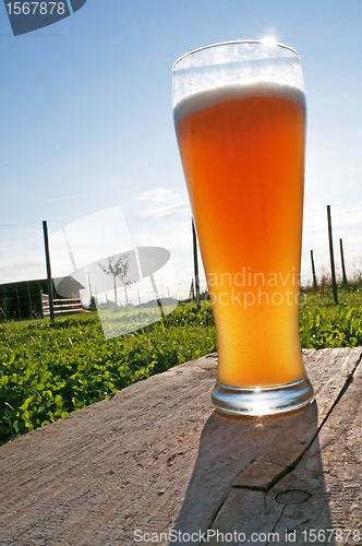 Image of wheat beer