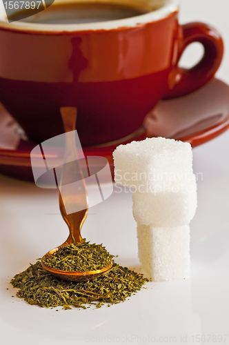 Image of Stevia rebaudiana, support for sugar
