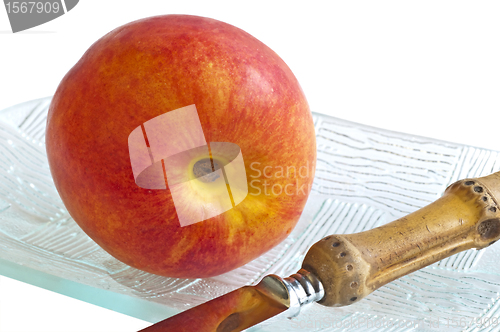 Image of nectarine