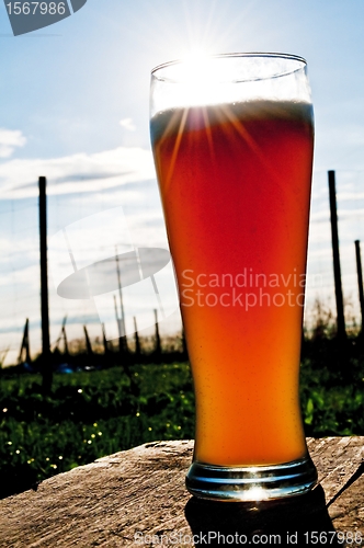 Image of wheat beer