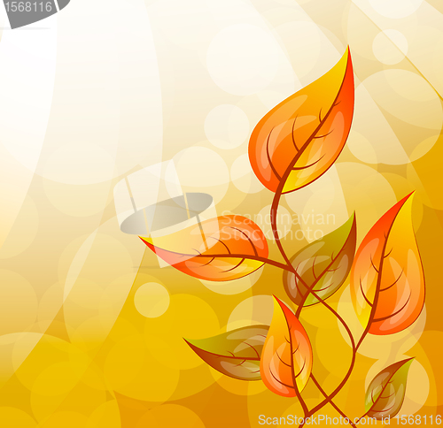 Image of Background with leaves