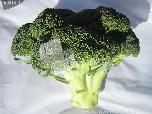 Image of Broccoli