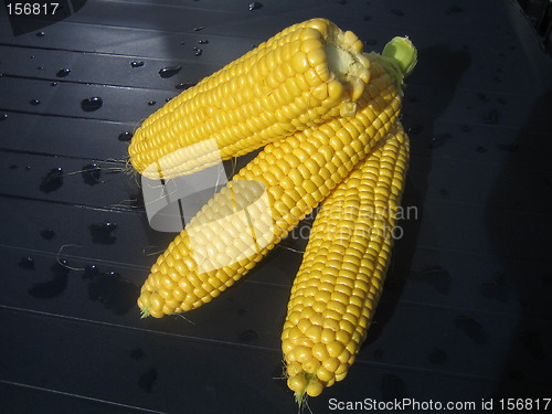 Image of Corncobs