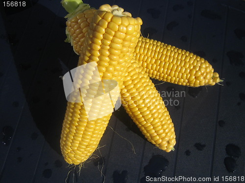 Image of Corncobs