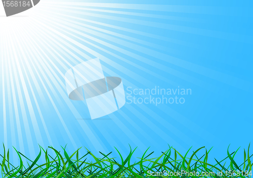 Image of Vector background with grass