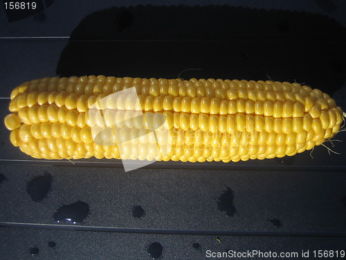 Image of Corncob