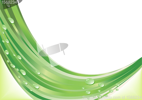 Image of Vector abstract green background
