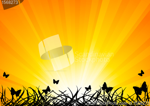 Image of Vector background with butterfly