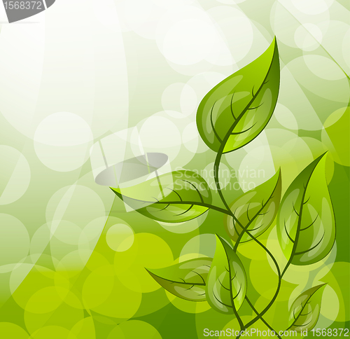Image of Background with leaves