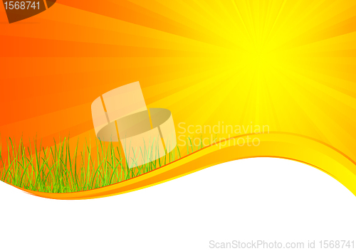 Image of Vector background with grass in orange color