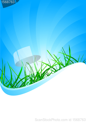 Image of Vector background with grass