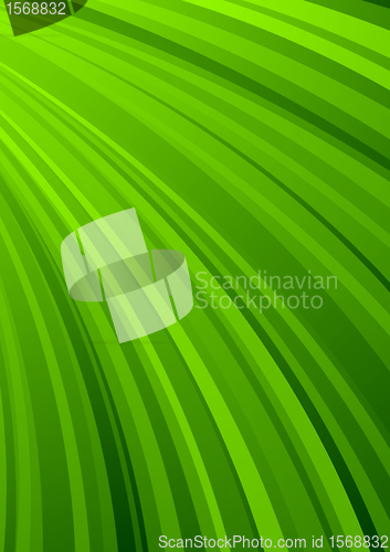 Image of Abstract striped background in green color