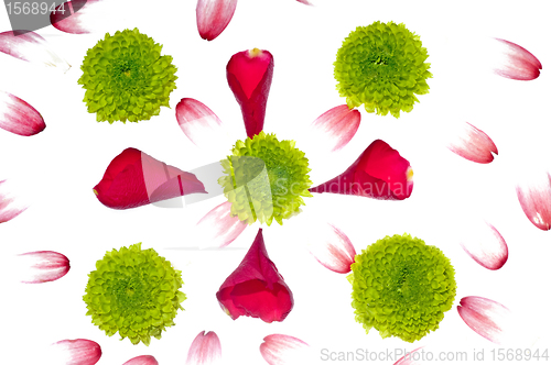 Image of flower