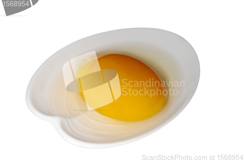 Image of egg