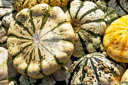 Image of Patisson squash