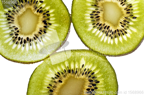 Image of kiwi 