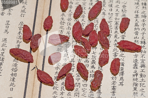 Image of Goji-berries, Lycium barbarum