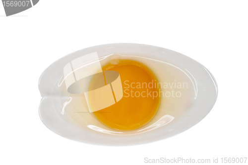 Image of egg