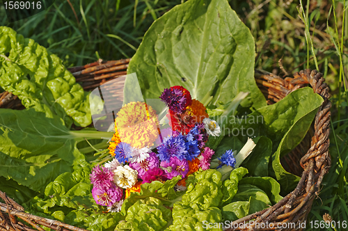 Image of basket with chard,salad and flowers