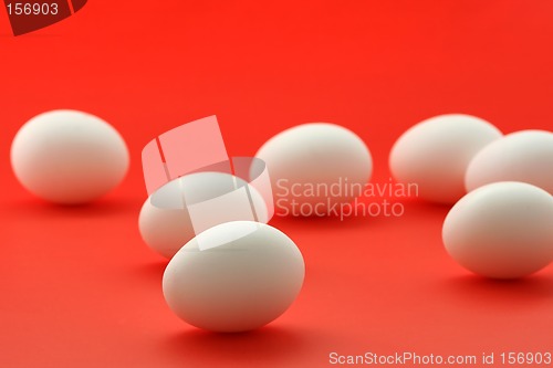 Image of Eggs