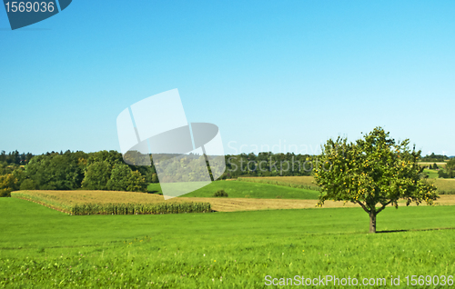 Image of range and fields