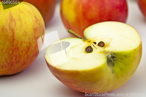 Image of apple
