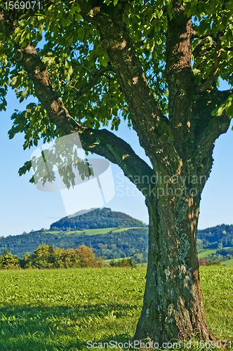 Image of view to the mountain of emperor Barbarossa