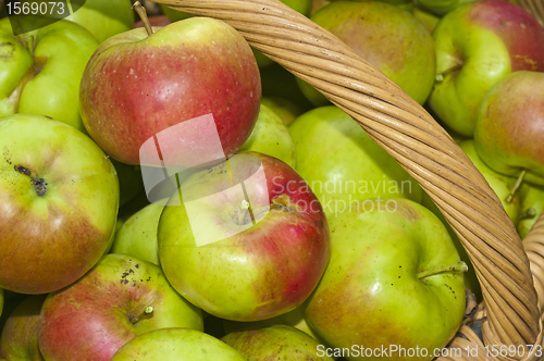 Image of apples in a basket