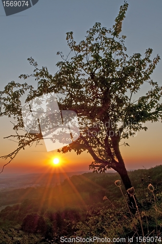 Image of sunset
