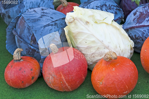 Image of squash and kale