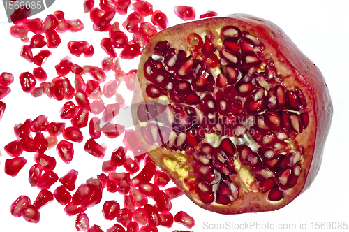 Image of pomegranate
